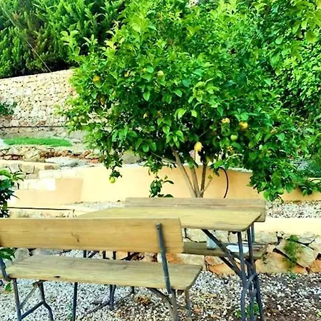 Margarita * Denia