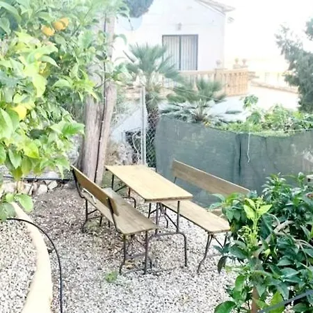 Margarita *