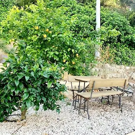 Margarita Σπίτι διακοπών Denia